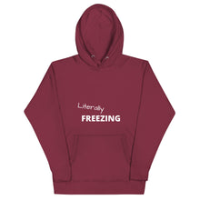 Load image into Gallery viewer, Literally Freezing Funny Unisex Hoodie - fallstores