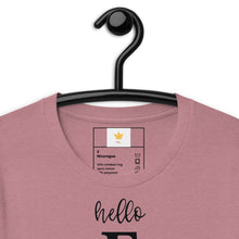 Load image into Gallery viewer, hello fall - porch sign Unisex t-shirt
